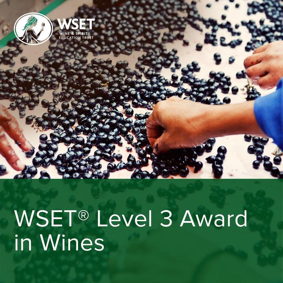 WSET Level 3 Award in Wines